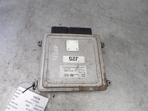 Hyundai Sonata V komputer, sterownik 39110-25070