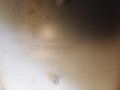 e8730d241bf291e0acd5ec8e94ac7e9b
